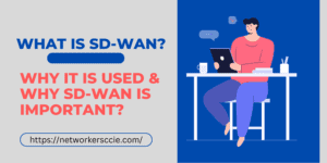 What is SD-WAN and Why You Should Learn it?